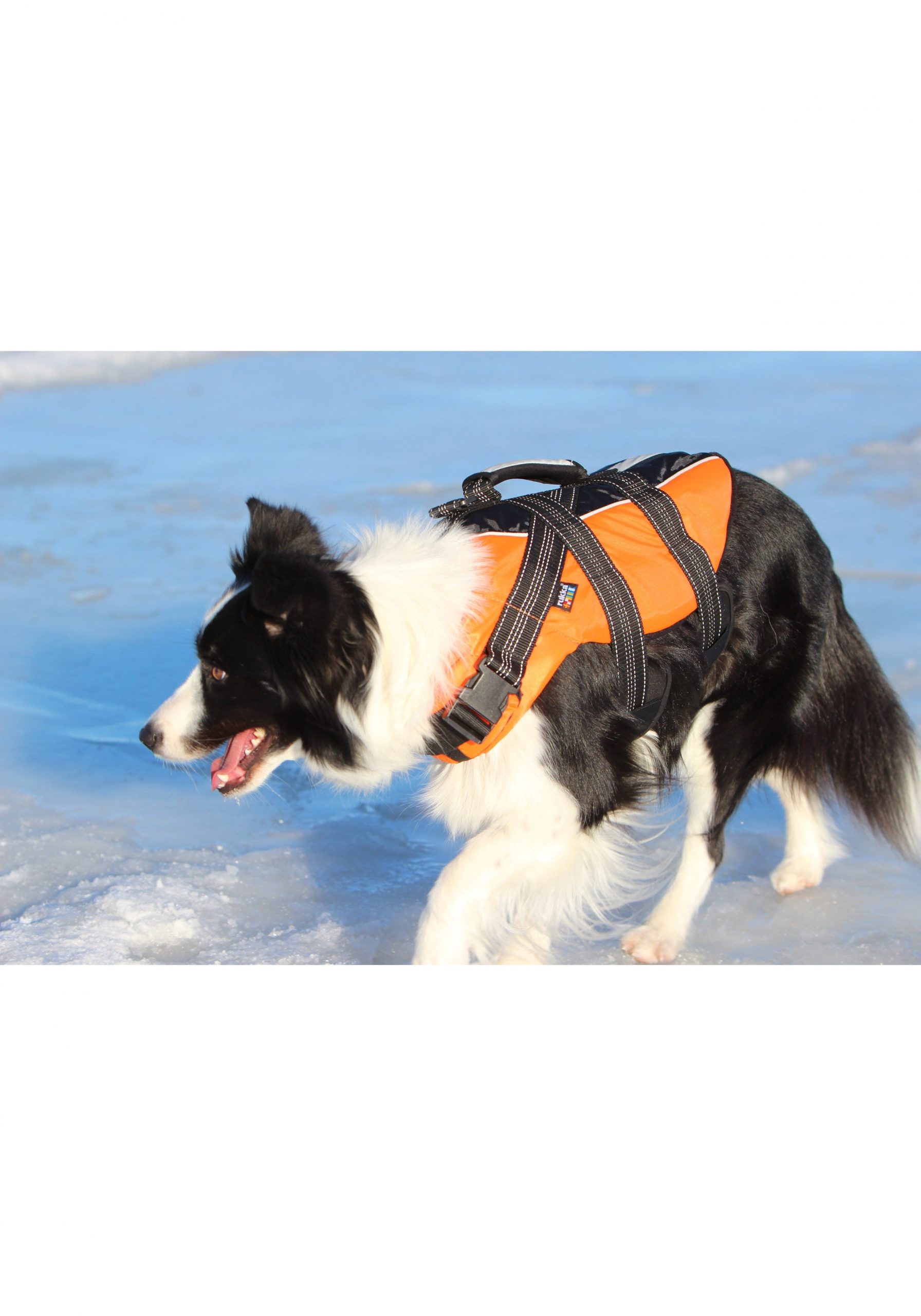 Hundesrettungsweste rukkapets – Bild 6