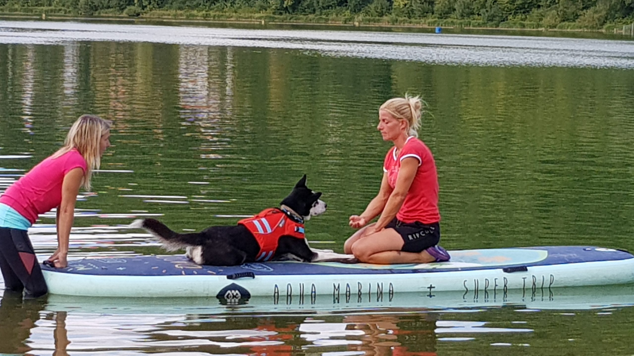 SUP Hund Kurs