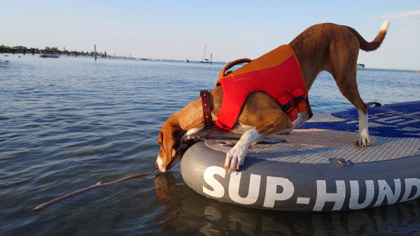 Hundeschwimmweste Ruffwear FloatCoat