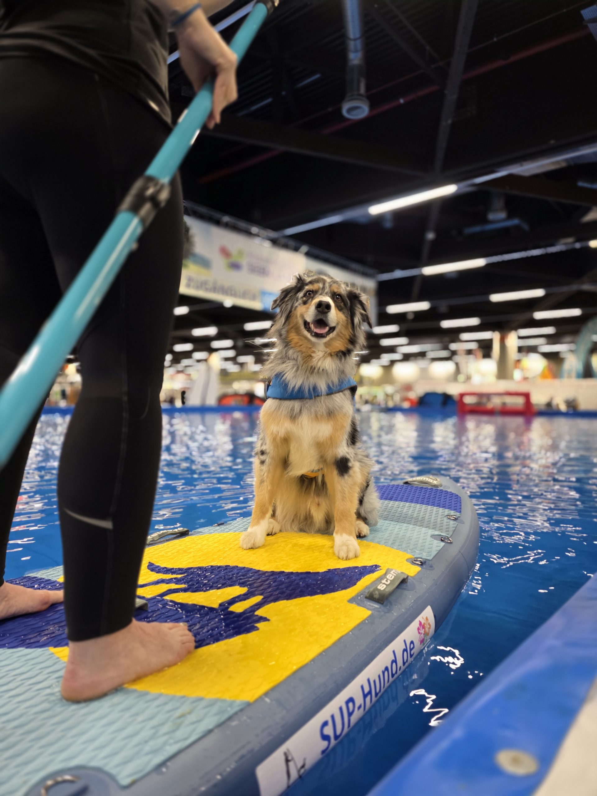 Stemax Wild Dog WoW 11.8 - Kajakset – Bild 3