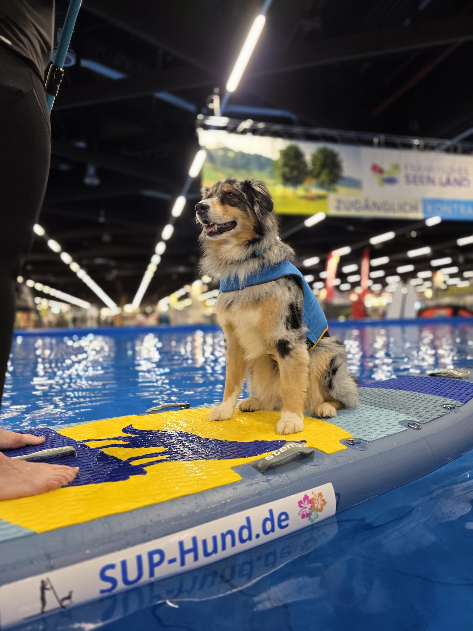 Stemax Wild Dog WoW 11.8 - Kajakset – Bild 2