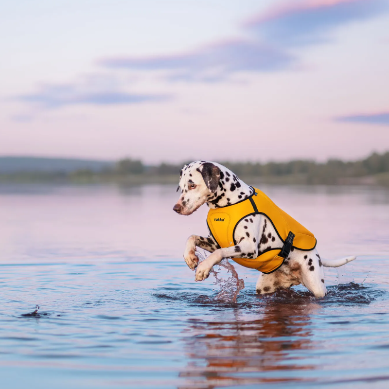Rukka Pets Neopren Schwimmweste – Bild 3