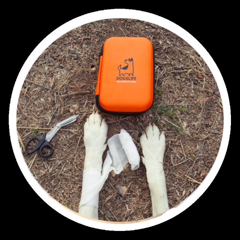 Dogslife - Erste Hilfe Kit (wasserdichte Tasche) – Bild 3