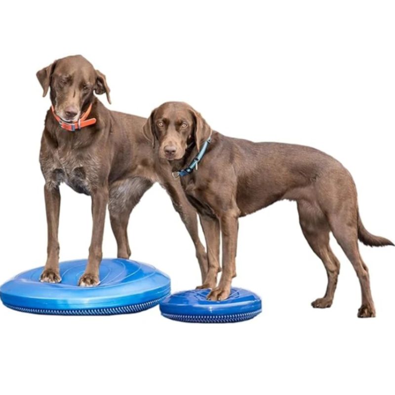 FitPAWS® Balance Disk 56 cm – Bild 2