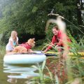 Impressionen SUP Hund Kurs